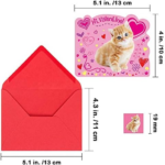 Amzimage Winlyn 30 Sets Valentine (1)